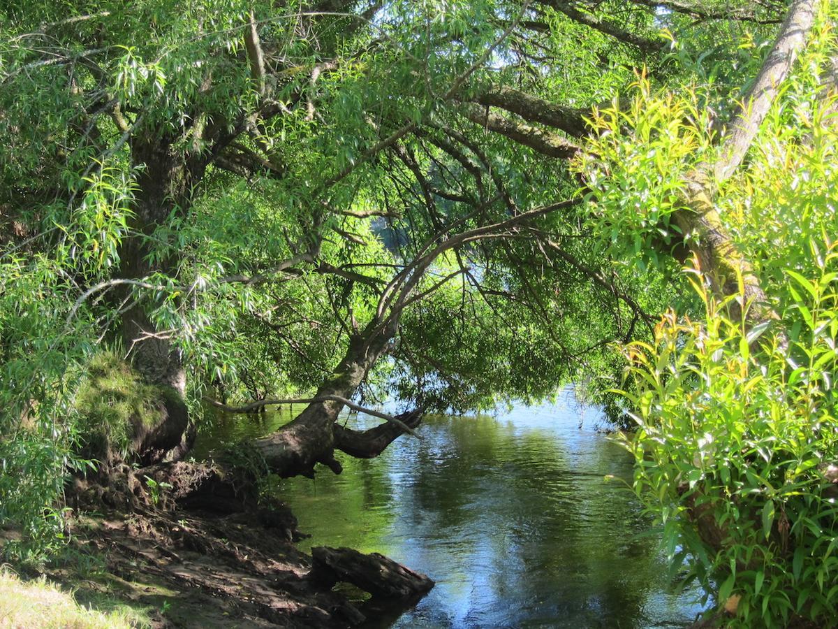 On The River Tamahere Zewnętrze zdjęcie